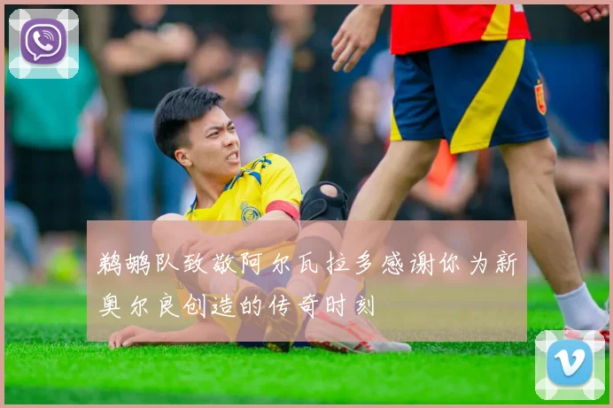 鹈鹕队致敬阿尔瓦拉多感谢你为新奥尔良创造的传奇时刻
